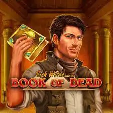 Slots logo of Book of Dead from Play&#039;n GO at rewards-casino
